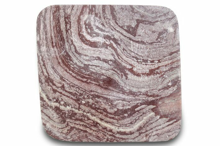 Polished, Neoproterozoic Stromatolite (Conophyton) - Morocco #276102